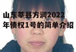 山东莘县方润2022年债权1号的简单介绍