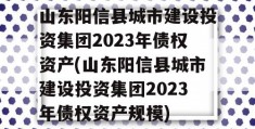 山东阳信县城市建设投资集团2023年债权资产(山东阳信县城市建设投资集团2023年债权资产规模)