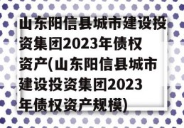 山东阳信县城市建设投资集团2023年债权资产(山东阳信县城市建设投资集团2023年债权资产规模)