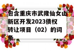 包含重庆市武隆仙女山新区开发2023债权转让项目（02）的词条