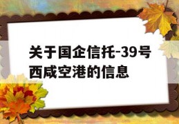 关于国企信托-39号西咸空港的信息