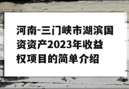 河南-三门峡市湖滨国资资产2023年收益权项目的简单介绍