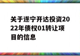 关于遂宁开达投资2022年债权01转让项目的信息