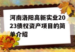 河南洛阳高新实业2023债权资产项目的简单介绍