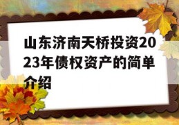 山东济南天桥投资2023年债权资产的简单介绍