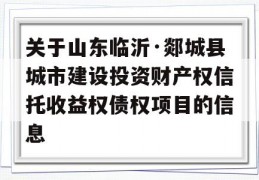 关于山东临沂·郯城县城市建设投资财产权信托收益权债权项目的信息