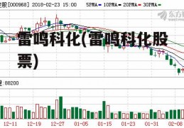 雷鸣科化(雷鸣科化股票)