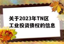 关于2023年TN区工业投资债权的信息