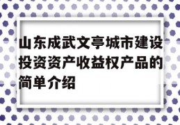 山东成武文亭城市建设投资资产收益权产品的简单介绍