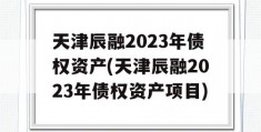 天津辰融2023年债权资产(天津辰融2023年债权资产项目)