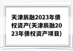 天津辰融2023年债权资产(天津辰融2023年债权资产项目)