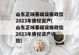 山东正域基础设施政信2023年债权资产(山东正域基础设施政信2023年债权资产评估)