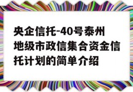 央企信托-40号泰州地级市政信集合资金信托计划的简单介绍