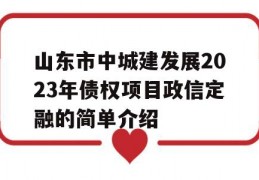 山东市中城建发展2023年债权项目政信定融的简单介绍