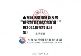 山东潍坊蓝海建设发展债权项目(潍坊滨海国投2021债权转让计划)