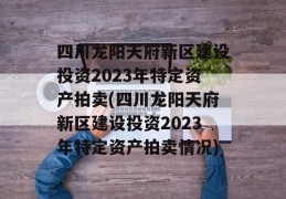 四川龙阳天府新区建设投资2023年特定资产拍卖(四川龙阳天府新区建设投资2023年特定资产拍卖情况)