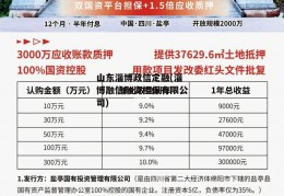 山东淄博政信定融(淄博融信融资担保有限公司)