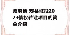 政府债-郏县城投2023债权转让项目的简单介绍