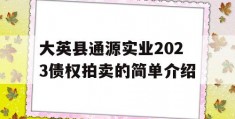 大英县通源实业2023债权拍卖的简单介绍