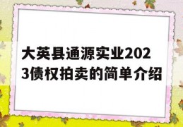 大英县通源实业2023债权拍卖的简单介绍