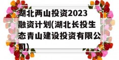 湖北两山投资2023融资计划(湖北长投生态青山建设投资有限公司)