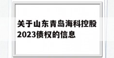 关于山东青岛海科控股2023债权的信息