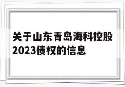 关于山东青岛海科控股2023债权的信息