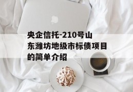 央企信托-210号山东潍坊地级市标债项目的简单介绍