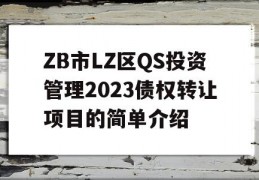 ZB市LZ区QS投资管理2023债权转让项目的简单介绍