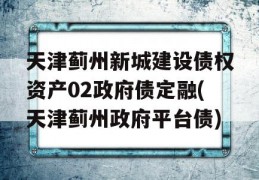 天津蓟州新城建设债权资产02政府债定融(天津蓟州政府平台债)