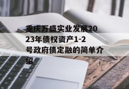 重庆万盛实业发展2023年债权资产1-2号政府债定融的简单介绍