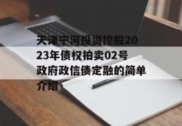 天津宁河投资控股2023年债权拍卖02号政府政信债定融的简单介绍