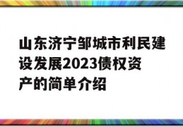 山东济宁邹城市利民建设发展2023债权资产的简单介绍