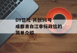 DY信托-共创96号成都青白江非标政信的简单介绍