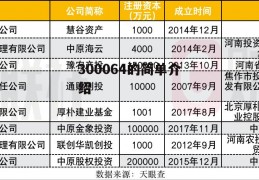 300064的简单介绍