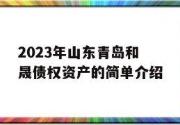 2023年山东青岛和晟债权资产的简单介绍