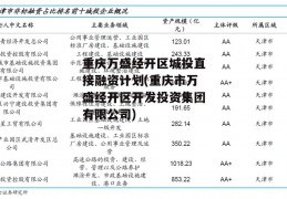 重庆万盛经开区城投直接融资计划(重庆市万盛经开区开发投资集团有限公司)