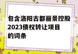 包含洛阳古都丽景控股2023债权转让项目的词条