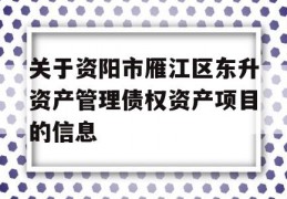 关于资阳市雁江区东升资产管理债权资产项目的信息