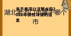 关于老河口汉策水投2022年债权项目的信息