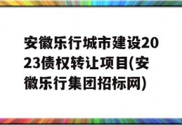 安徽乐行城市建设2023债权转让项目(安徽乐行集团招标网)