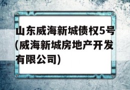 山东威海新城债权5号(威海新城房地产开发有限公司)