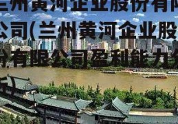 兰州黄河企业股份有限公司(兰州黄河企业股份有限公司盈利能力分析)