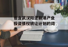 包含武汉阳逻新港产业投资债权转让计划的词条