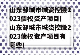 山东邹城市城资控股2023债权资产项目(山东邹城市城资控股2023债权资产项目有哪些)