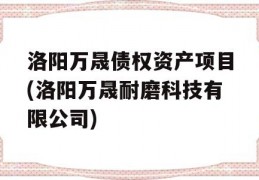 洛阳万晟债权资产项目(洛阳万晟耐磨科技有限公司)