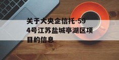 关于大央企信托-594号江苏盐城亭湖区项目的信息