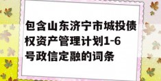 包含山东济宁市城投债权资产管理计划1-6号政信定融的词条