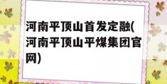 河南平顶山首发定融(河南平顶山平煤集团官网)