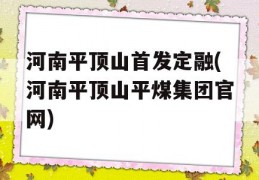 河南平顶山首发定融(河南平顶山平煤集团官网)